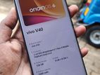 Vivo V40 (Used)