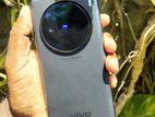 Vivo x100 (Used)