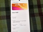 Vivo V60 (Used)