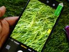 Vivo Y93 (Brand New)