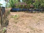 வளவு விற்பனைக்கு - பாலமுனை