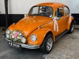Volkswagen Beetle Classic Wedding Car for Hire