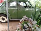 Volkswagen Beetle Oval Glass 1956