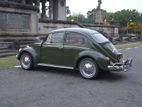 Volkswagen Beetle veta 1965