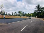 වටිනා බිම්කොටස් විකිනීමට තලගල