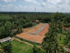 වටිනා ඉඩම් හෝමගම