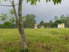 වටිනා ඉඩම් කොටස් කිහිපයක් ඇහැලියගොඩ සුන්දර නගරයෙන් 😍