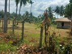 ඉඩමක් විකිනීමට - බිංගිරිය