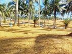 වටිනා ඉඩමක් ගොනපොල හන්දිය ආසන්නයේන්