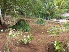 Land for Sale in Kandy