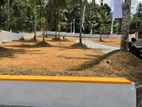 වටිනා ඉඩමක් පනාගොඩ