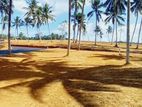වටිනා ඉඩමක් තලගල හන්දිය ආසන්නයේන්