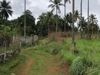 වටිනා ඉඩමක් විකිණීමට – වරකන්ද, මාතලේ