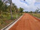 වටිනා නේවාසික බිම් කොටස්, නාච්චාදූව