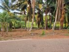 වටිනා පොල් ඉඩමක් විකිණීමට පැපිළියවල / DM 11835