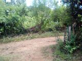 Land for sale in Bibile