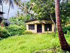වත්තල - උස්වැටකෙයියාවෙන් පදිංචියට හෝ ආයෝජනයටත් නිවසක් සහ ඉඩමක්