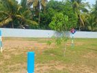 වත්තලින් අගනා බිම් කොටස් විකිණීමට