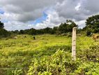 Land for Sale in Vavuniya