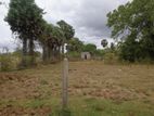 Land for Sale in Nelukkulam Vavuniya