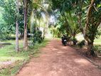 வவுனியா நொச்சிமோட்டையில் 5 ½ ஏக்கர் காணி விற்பனைக்கு