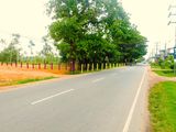 ව්‍යාපාරික ඉඩමක් විකිණීමට පන්නල
