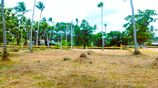 ව්යාපාරික ඉඩමක් විකිණීමට පන්නල