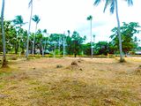 ව්‍යාපාරික ඉඩමක් විකිණීමට පන්නල