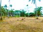 ව්‍යාපාරික ඉඩමක් විකිණීමට පන්නල