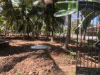 ව්‍යාපාරික සහ නේවාසික බිම් කොටස් විකිණීමට පාදෙණිය