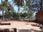 வயல் 2.5 ஏக்கர் ஒரு குடியிருப்பு காணி விற்பனைக்கு