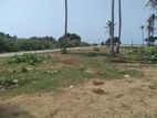 Wadduwa : 400P Beach Land for Sale in