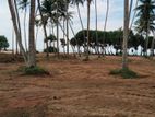 Wadduwa Beach  Facing Plots for Sale