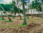 WADDUWA BEACH NUMBER ONE FRONT LAND PLOTS ☝️🌊