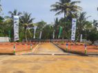 Wadduwa, Thalpitiya Lands for Sale | Future gains R03