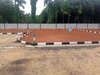 wadduwa thalpitiya near gall rd lands for sale T01