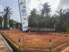 Wadduwa Thalpitya ගාලුපාරට ඉඩම් N38