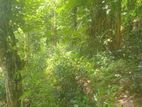 Land Sale Pathahewaheta
