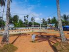 walana junction land T01