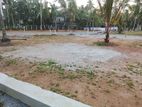 Walana Panadura Highly Residential Land for Sale