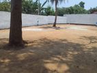 walisara land for sale