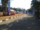 walisara land sale