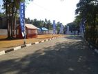 walisara land sale