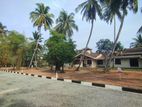Walking Distance Ja Ela 275 Road - Uswetakeiyawa House for Sale