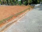 Walking Distance to Kandy Road Valuable land for Sale in Yakkala City