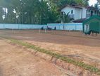 Walking Distance to Minuwangoda - Ekala Ja Ela Valuable land for sale