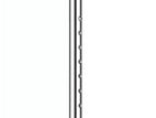 Walking Stick
