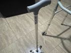 Walking Stick