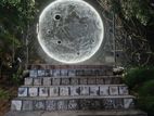 Wall Art Creation