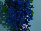 Wall Hanging